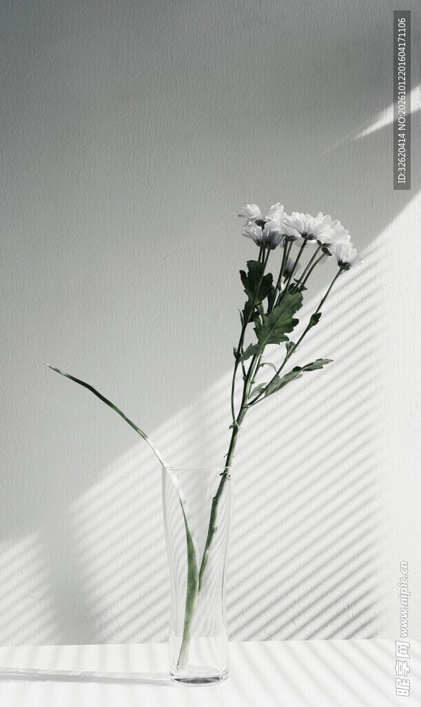 极简瓶花静物