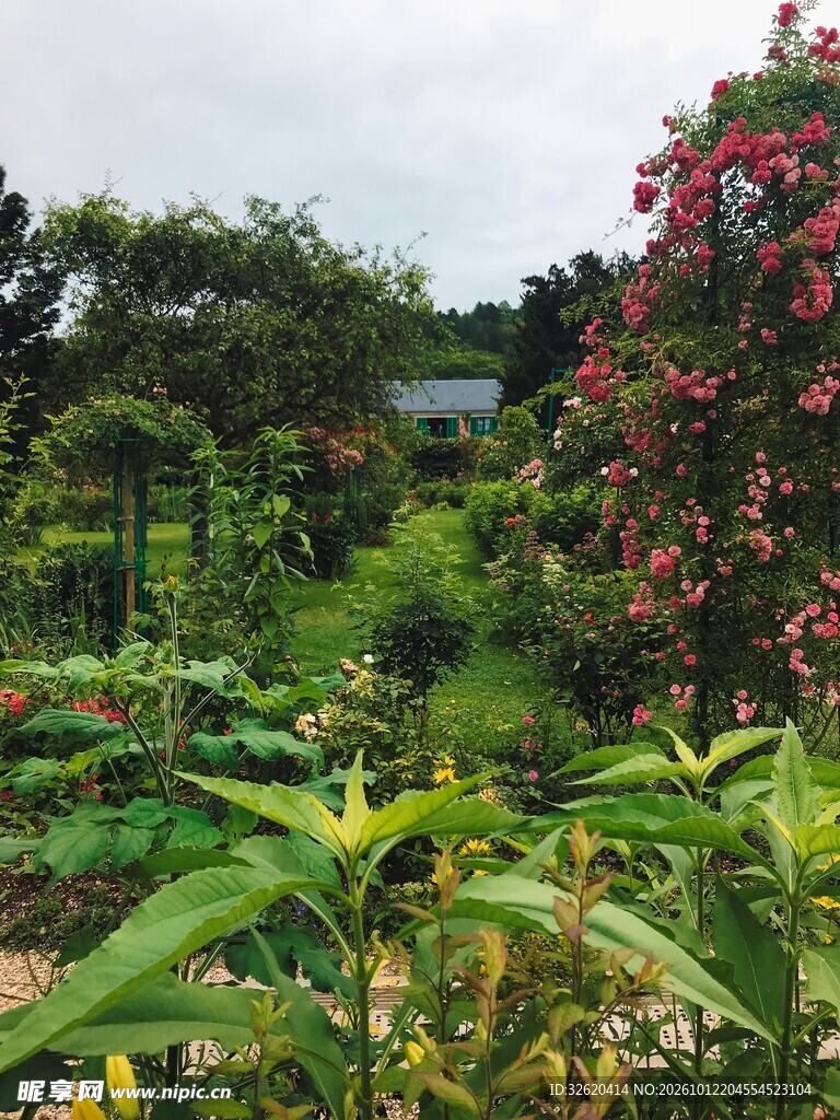 郊野花园自然风光