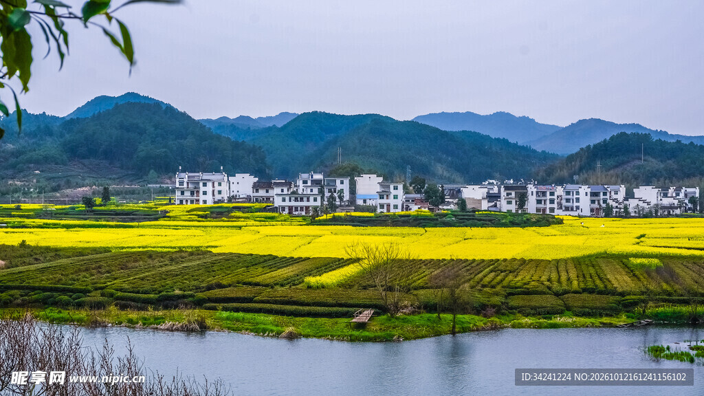 春日乡村田园美景