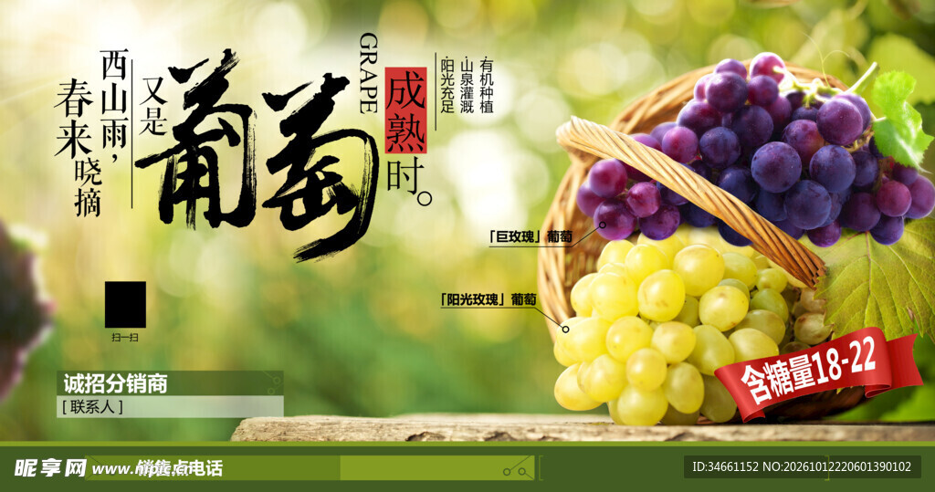 葡萄促销宣传海报