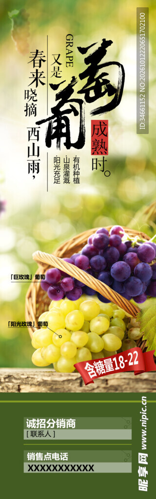 葡萄鲜果宣传海报