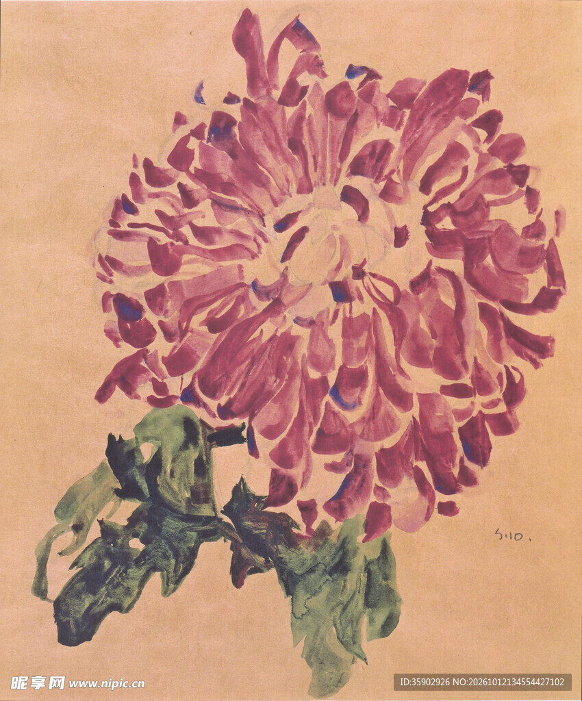 复古紫菊花卉版画