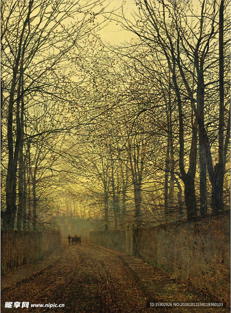 林间黄昏雾中小径