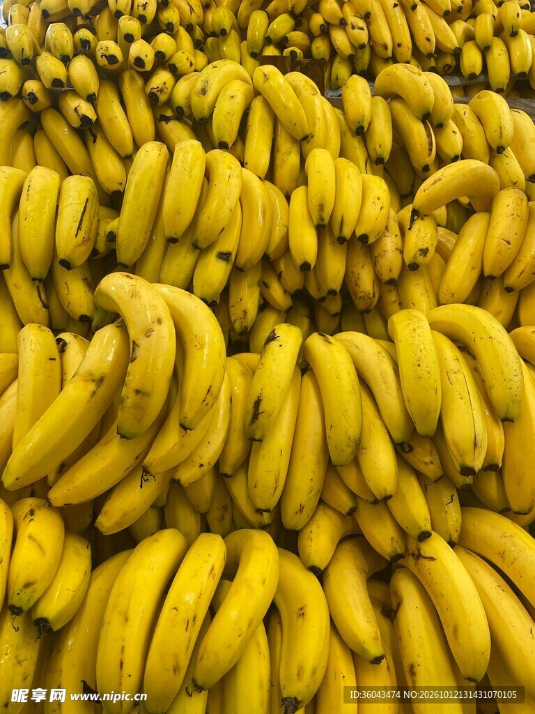 大量新鲜成熟香蕉