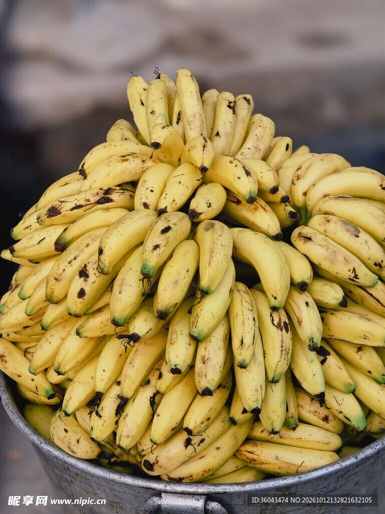 整串新鲜小米蕉