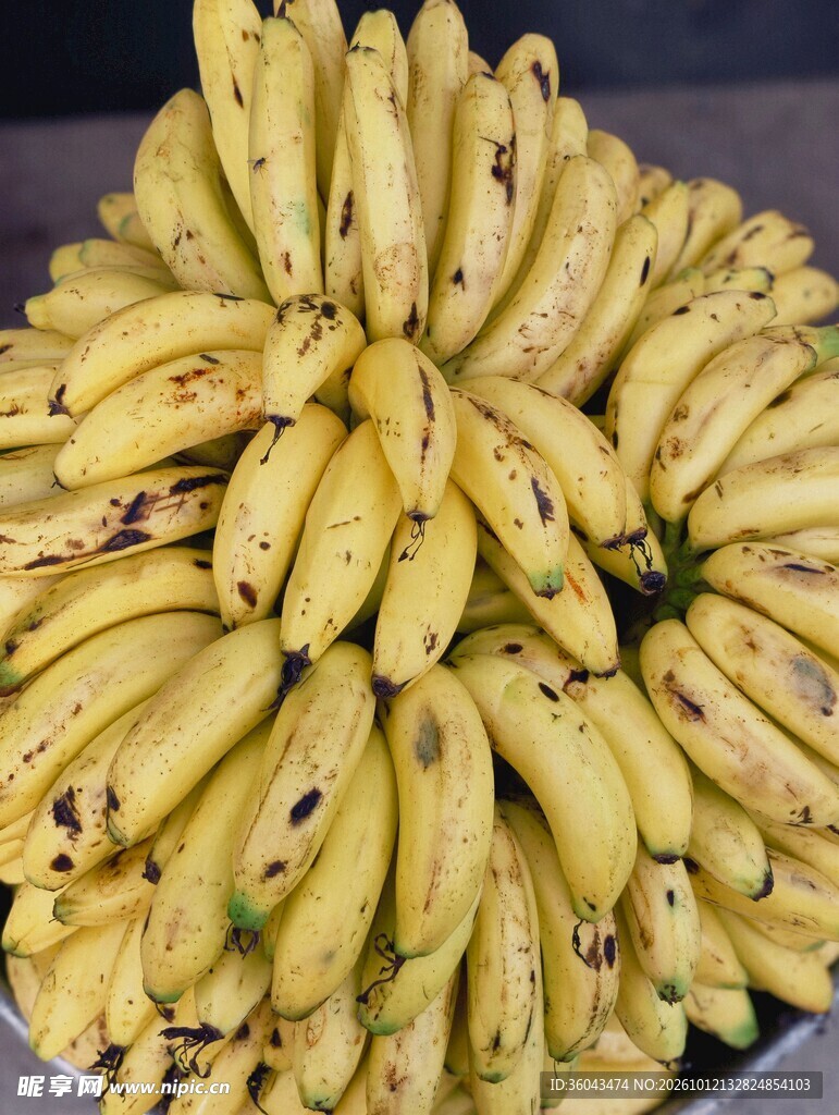 整串成熟黄香蕉