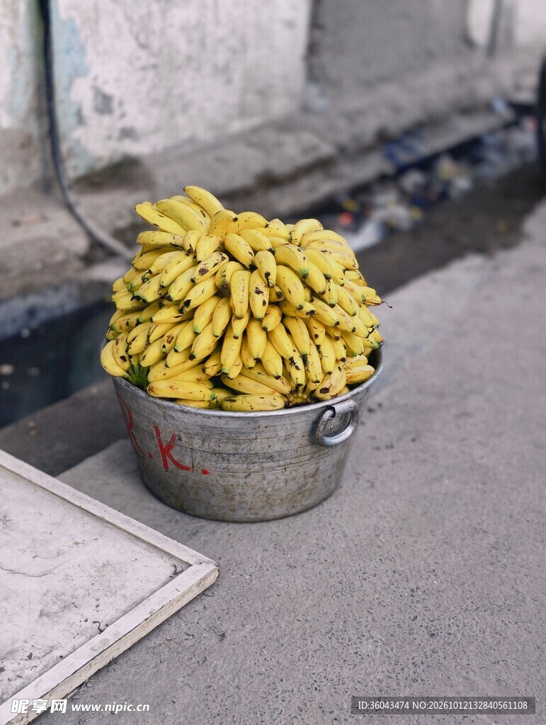 铁桶里的新鲜香蕉