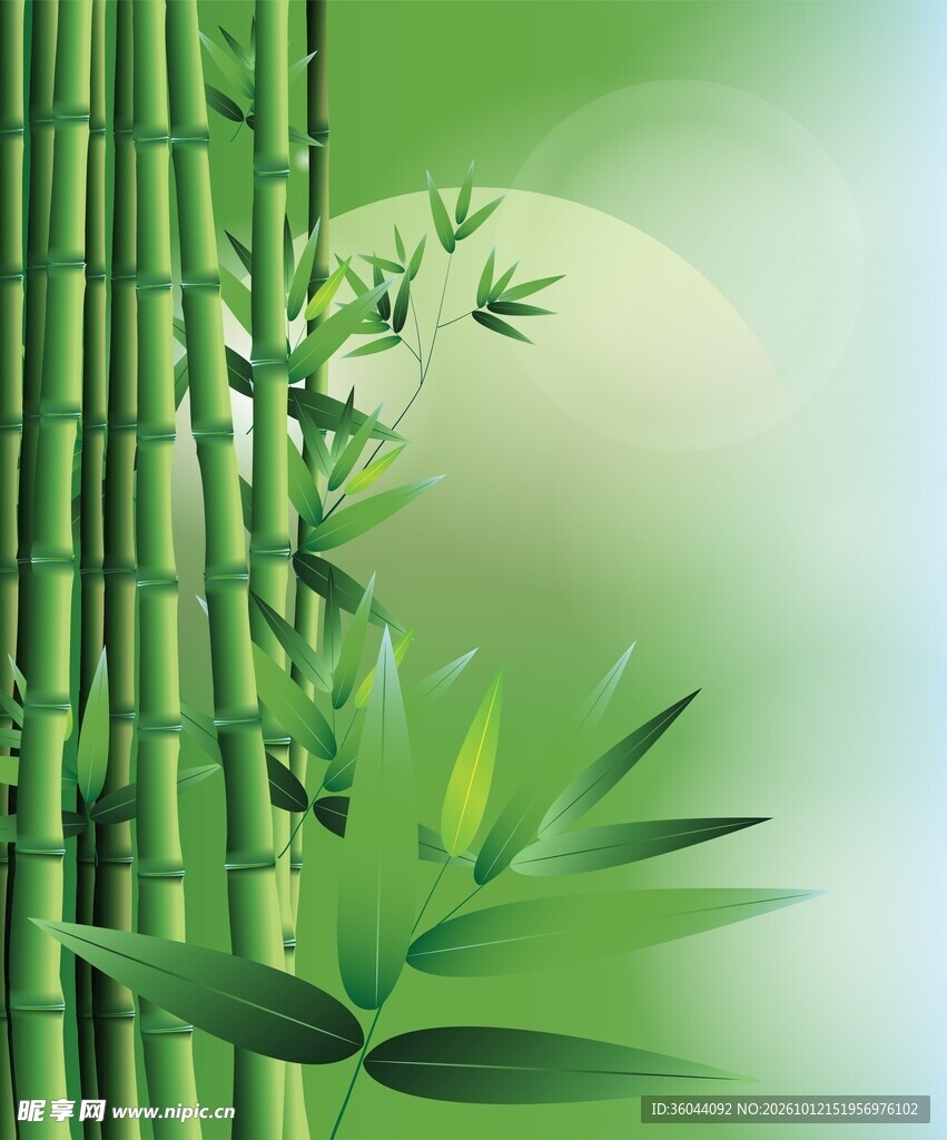 竹子背景