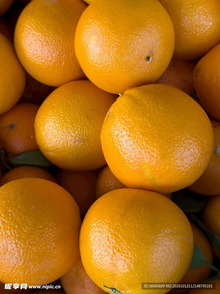 新鲜金桔特写