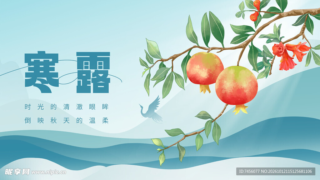 寒露节气石榴手绘插画