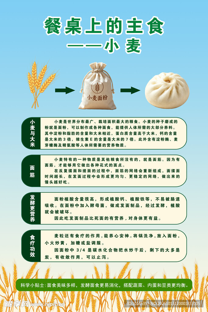 餐桌上的主食小麦科普