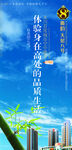 吊旗罗马旗设计