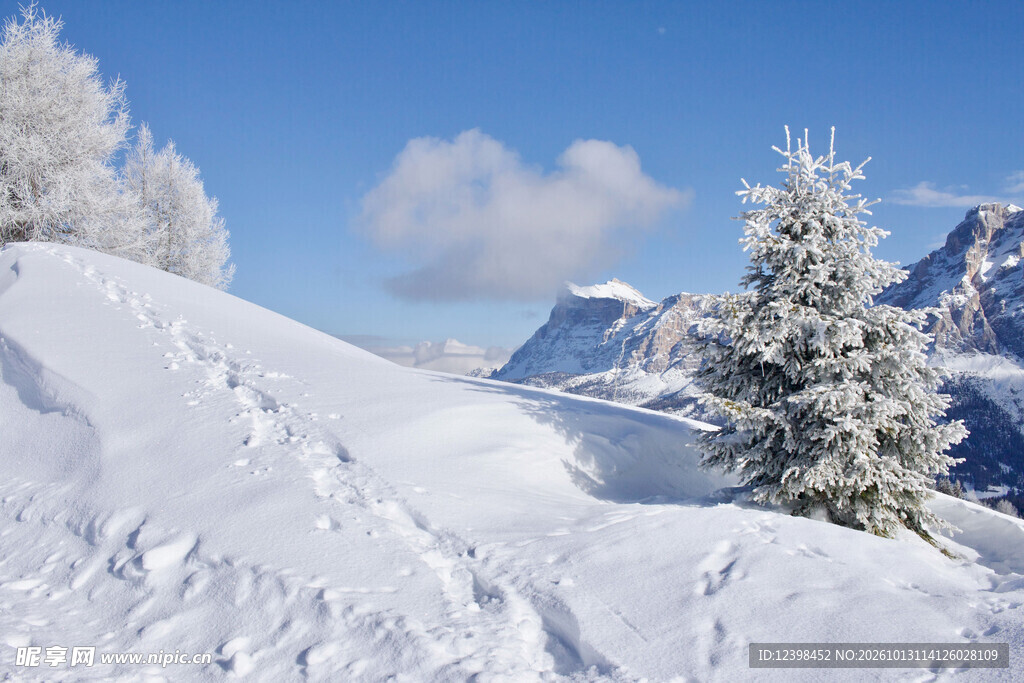 高山雪景