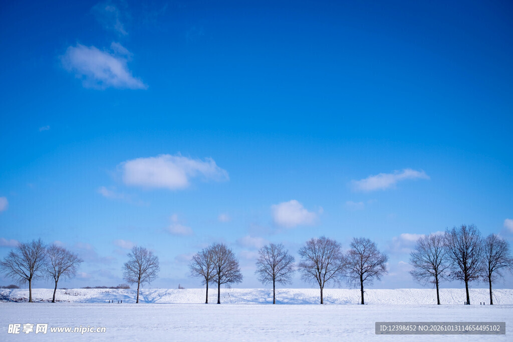 雪野晴空
