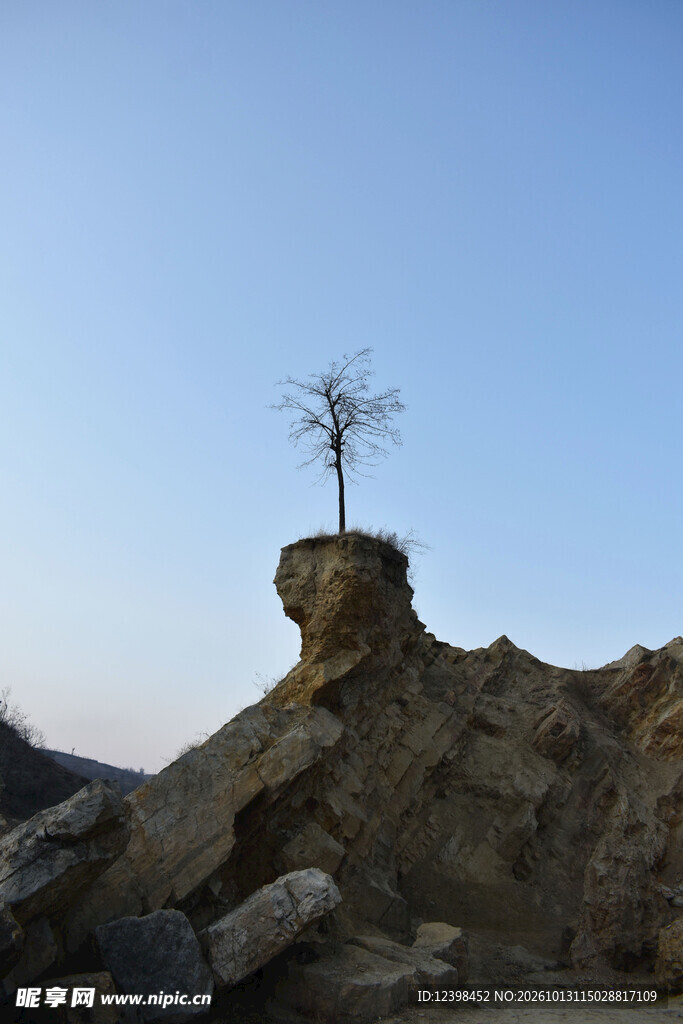 山巅孤树