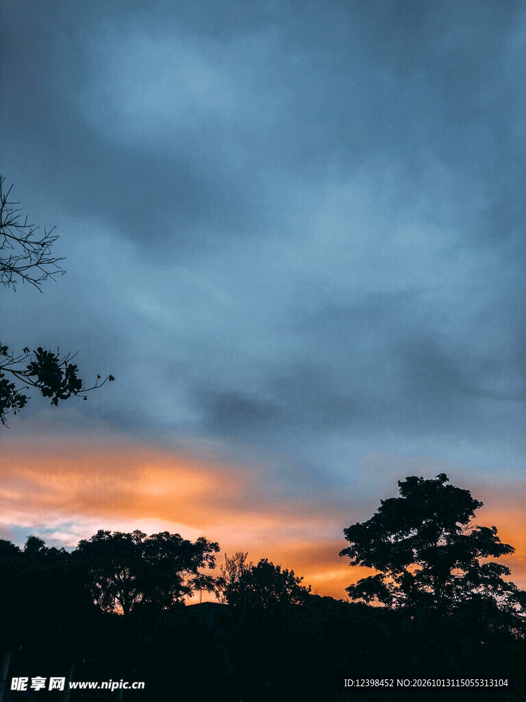 树影黄昏