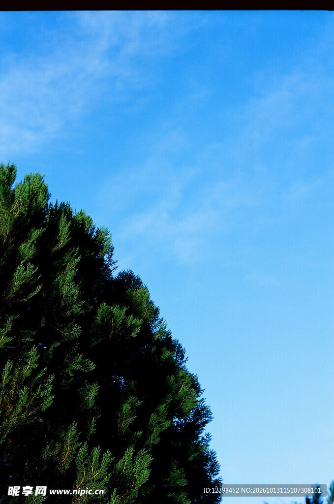 蓝天绿树