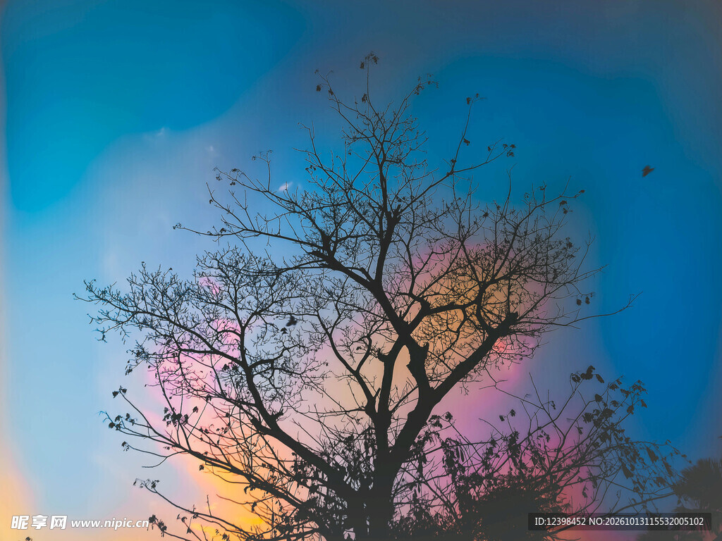 树影黄昏