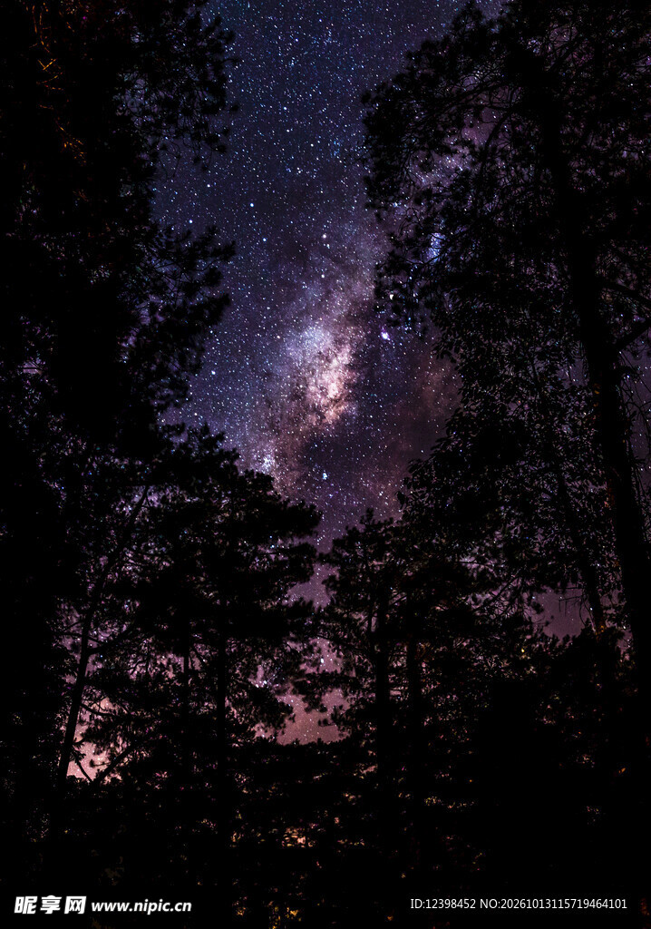 树影星空
