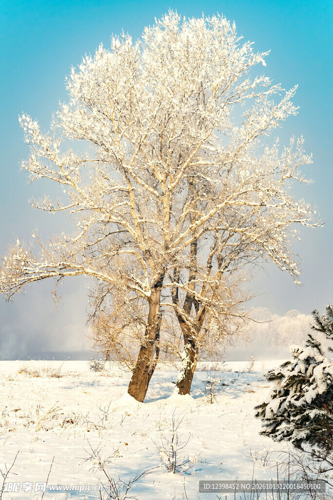 雾凇雪景