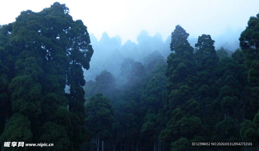 雾绕山林