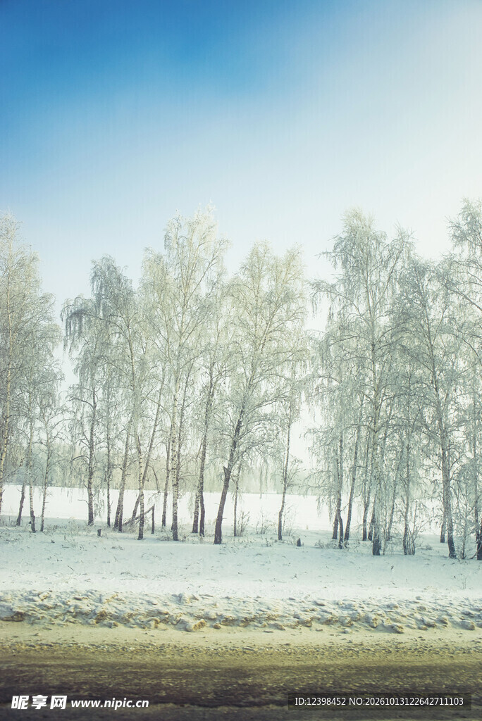 雪林晴空