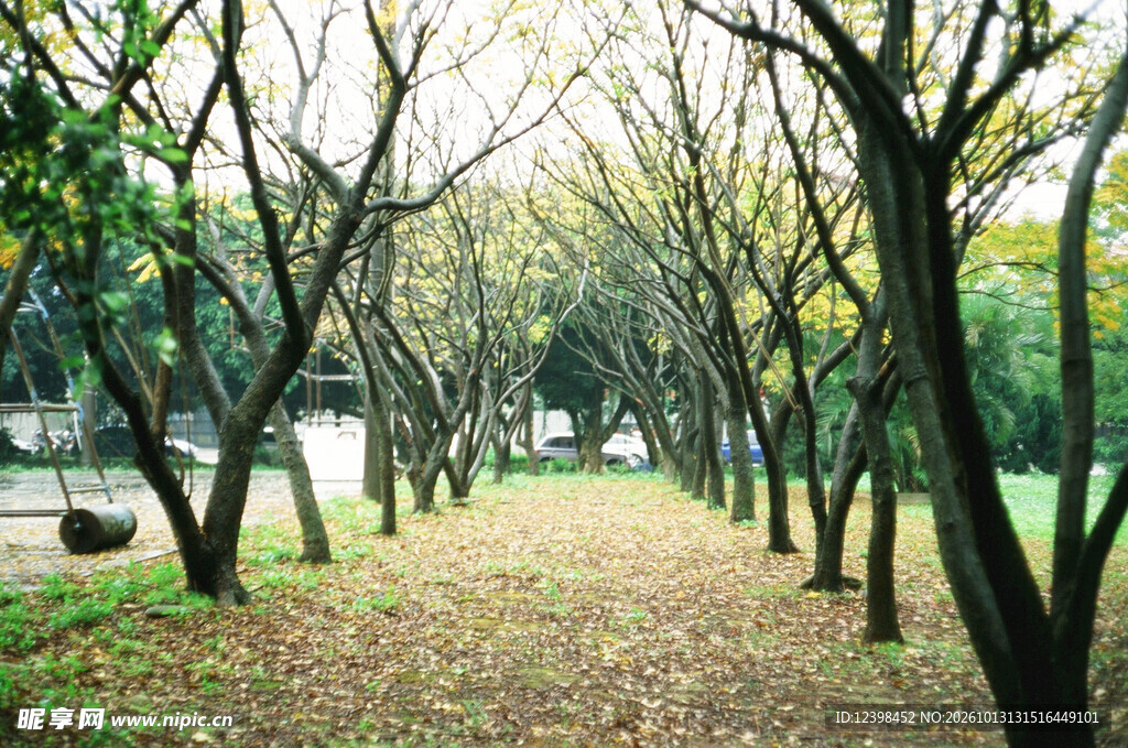 林间步道
