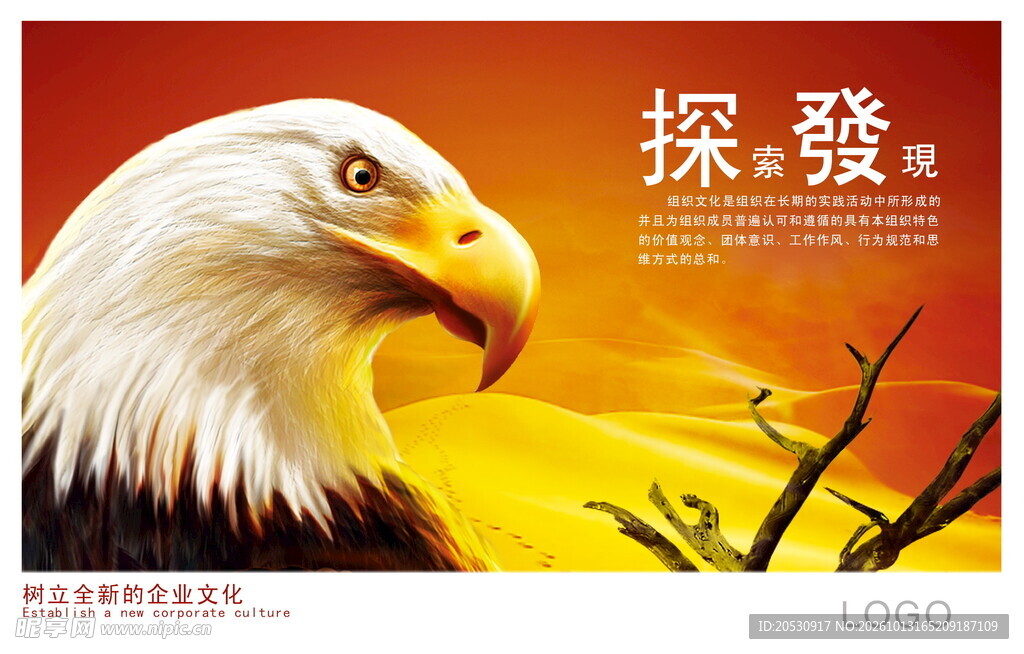雄鹰探索企业文化海报