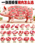 猪肉分解图