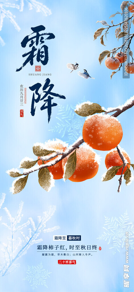 霜降节气柿子主题海报