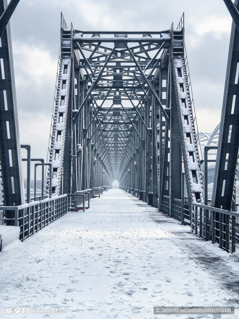 冬日积雪铁桥景观