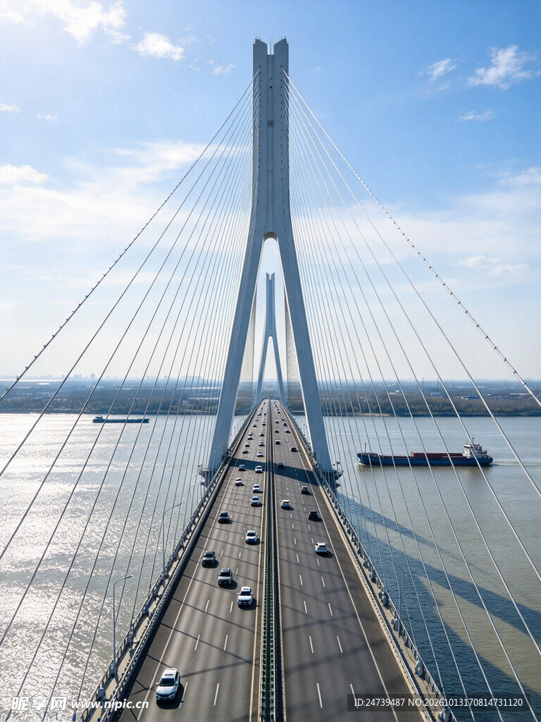 跨江斜拉大桥风光