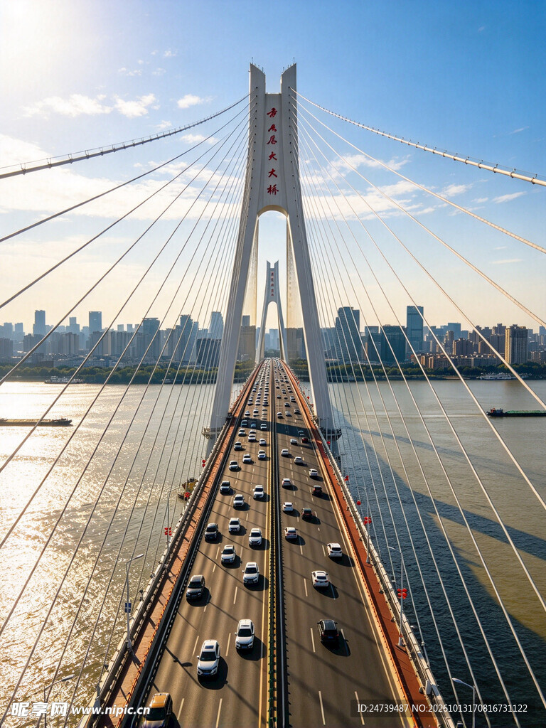 跨江斜拉大桥城市风光