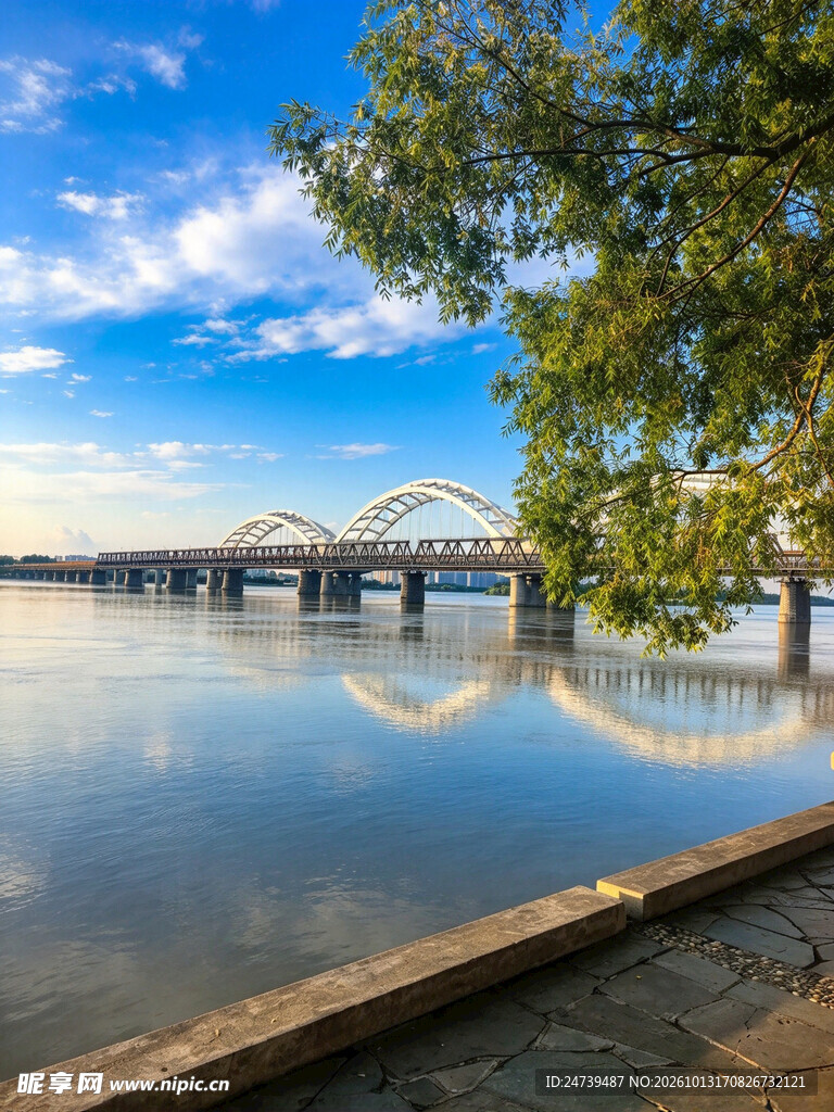 江畔大桥晴日美景