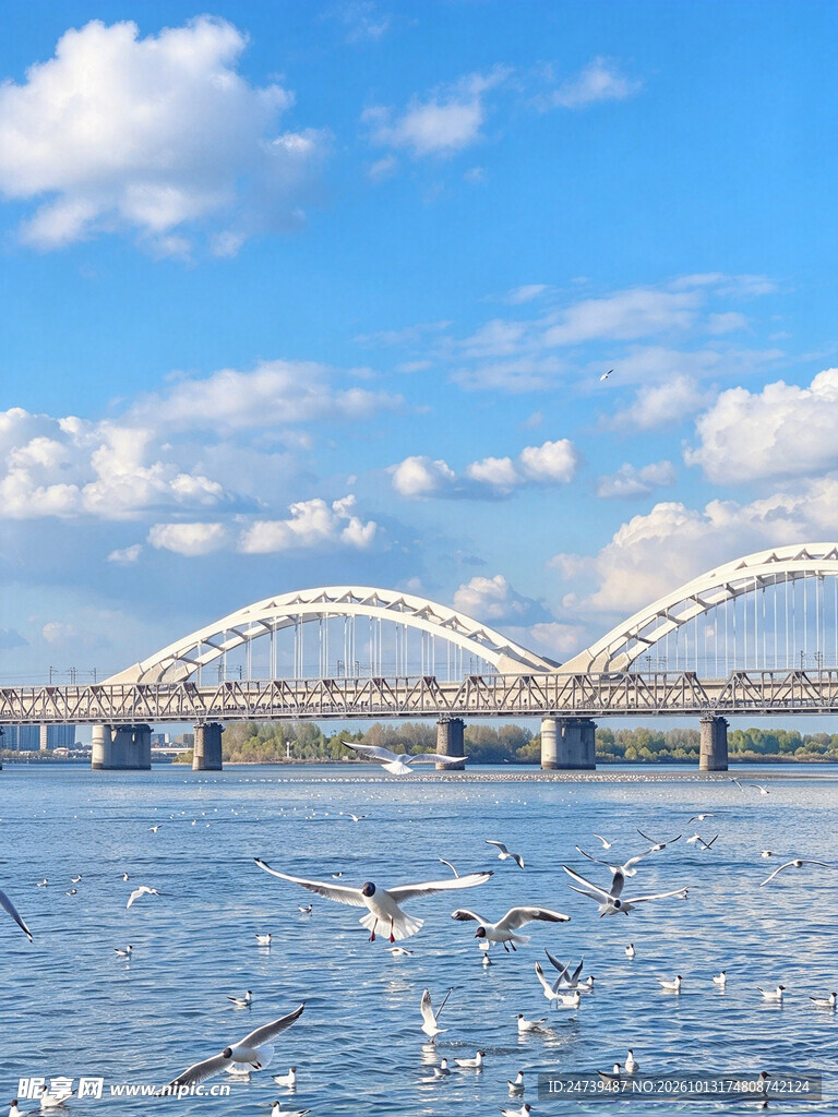 江畔大桥晴空飞鸟风光