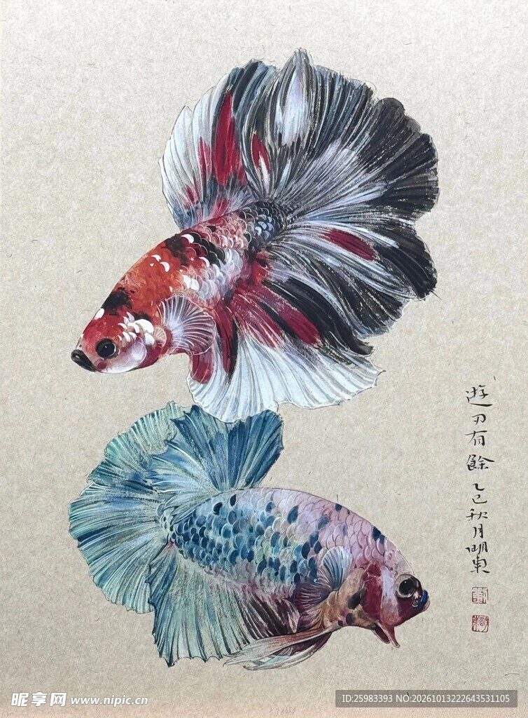 水彩双斗鱼