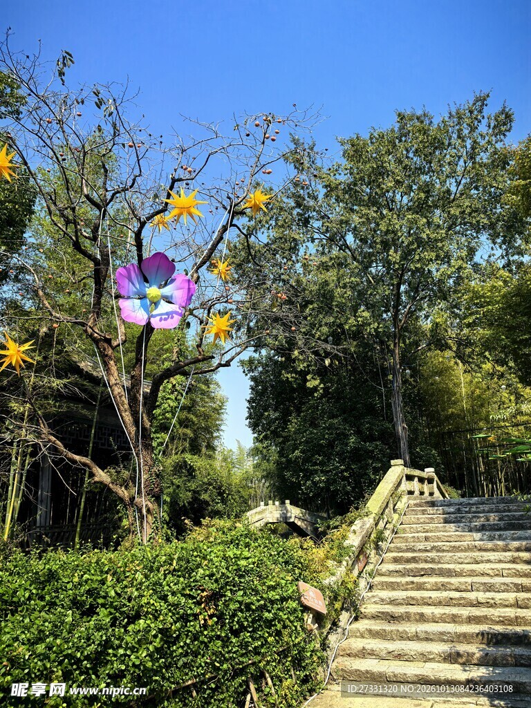 园林晴日石阶步道风光