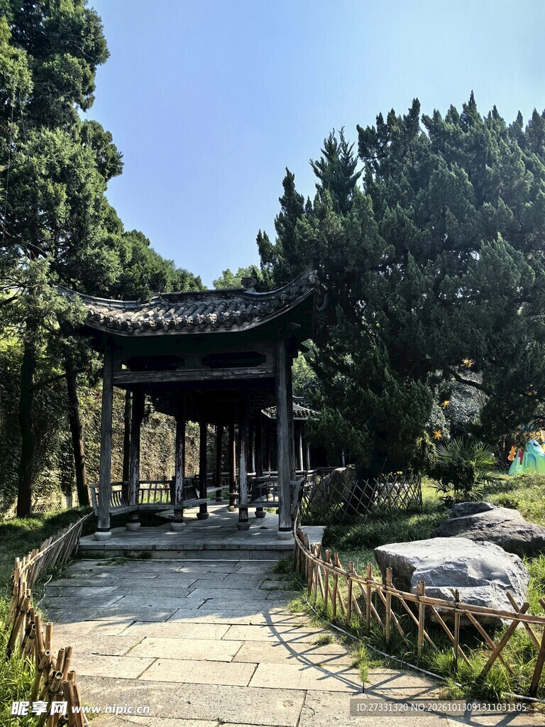 林间中式古亭小景