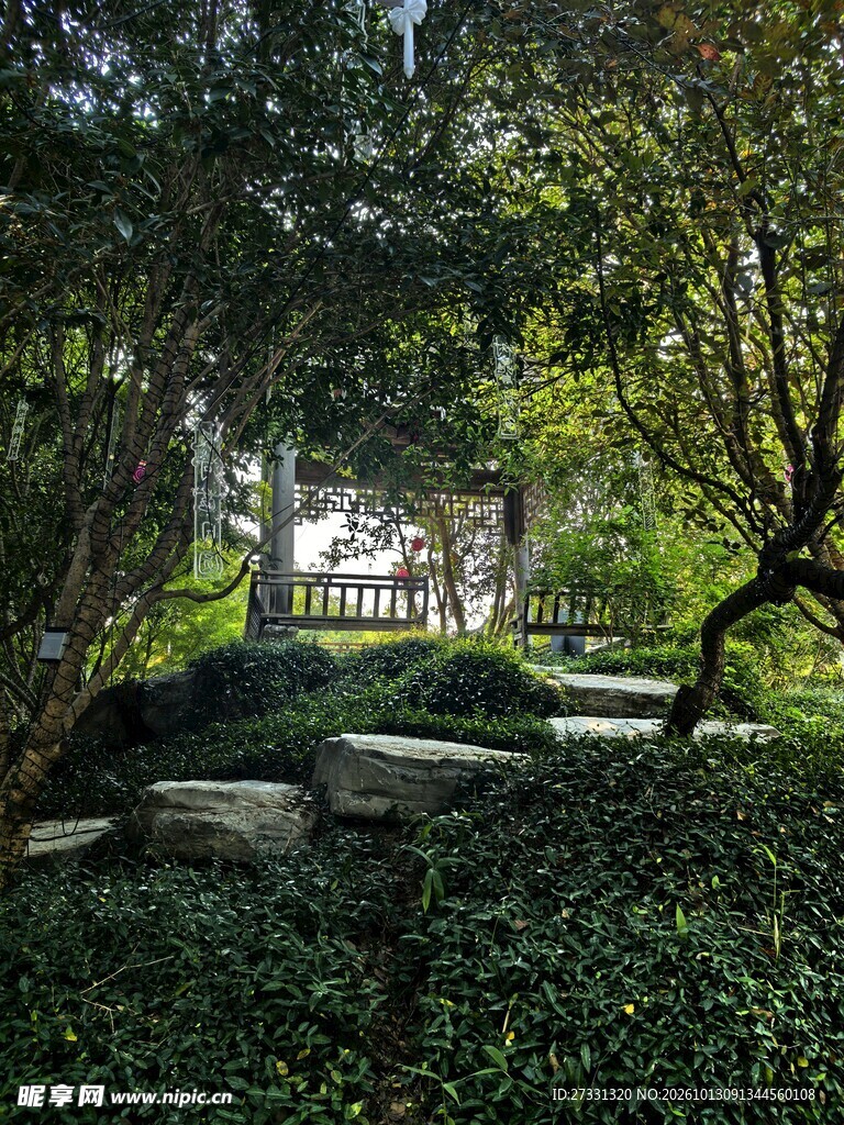 林间幽径小亭