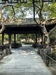 园林古廊林荫步道