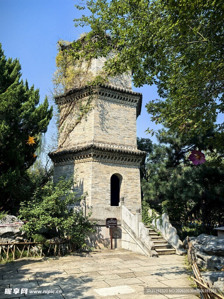 林间古塔风光