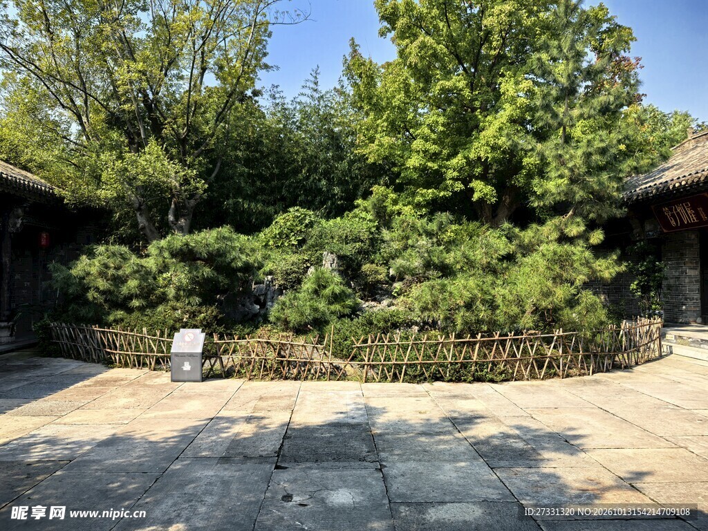 乡村庭院绿树风光