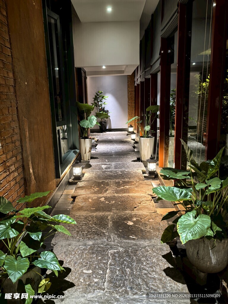 雅致室内绿植走廊
