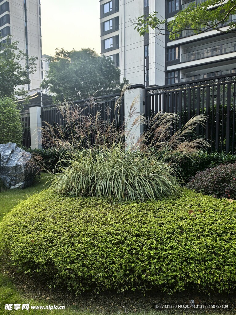 小区住宅绿化景观