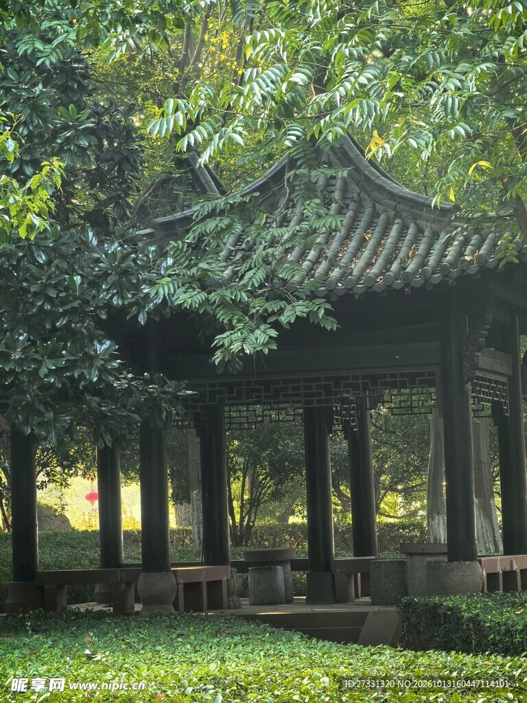 树荫下的中式古亭