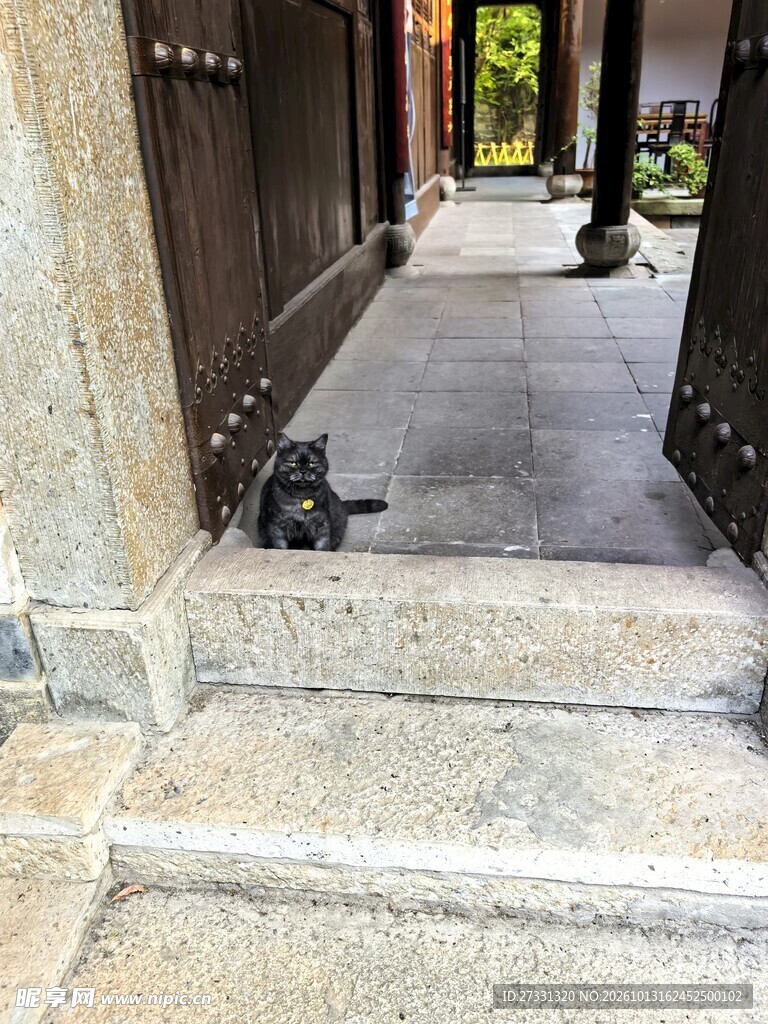 古宅门槛边的小黑猫