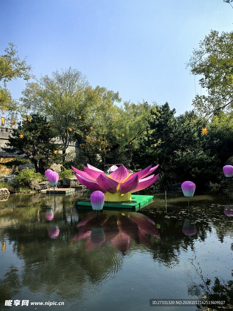 湖面荷花景观装饰
