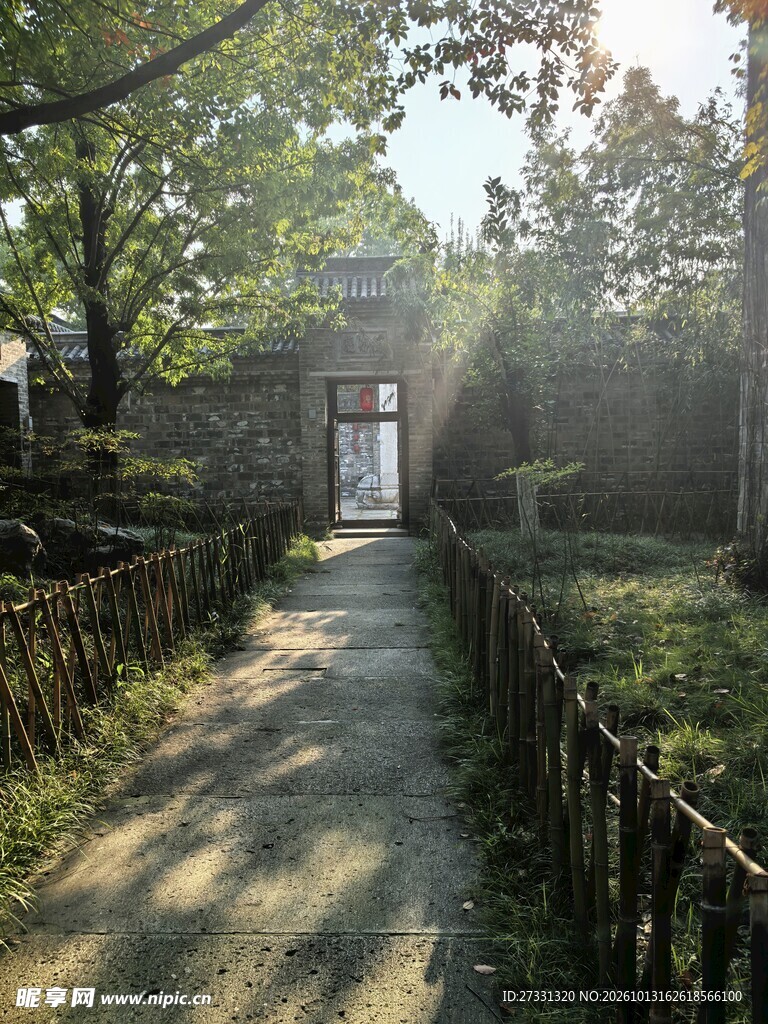 林间晨光小径