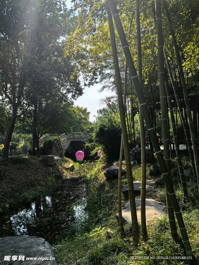 林间溪流阳光美景