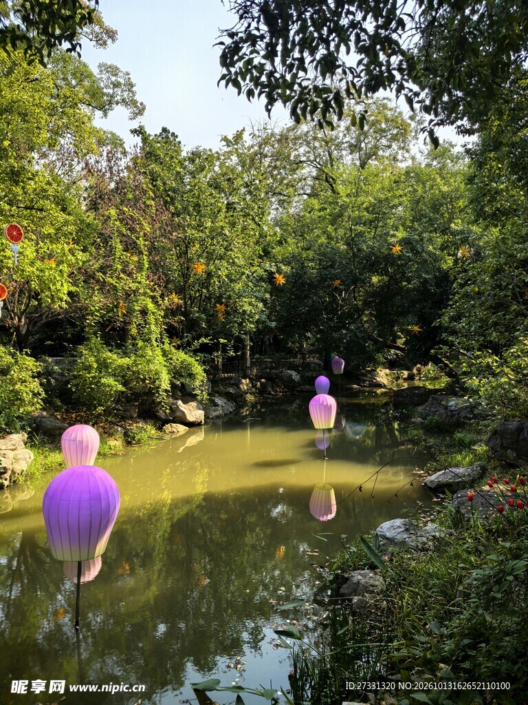 公园池塘夏日小景